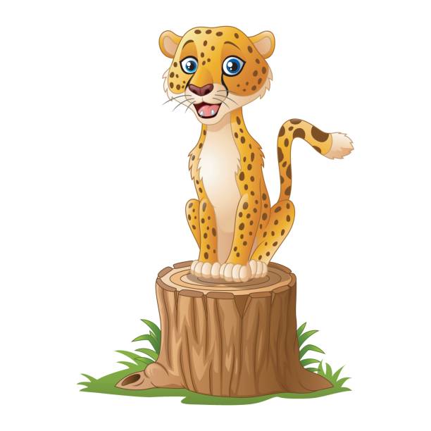 Leopard Cartoon Stock Photos, Pictures & Royalty-Free Images - iStock