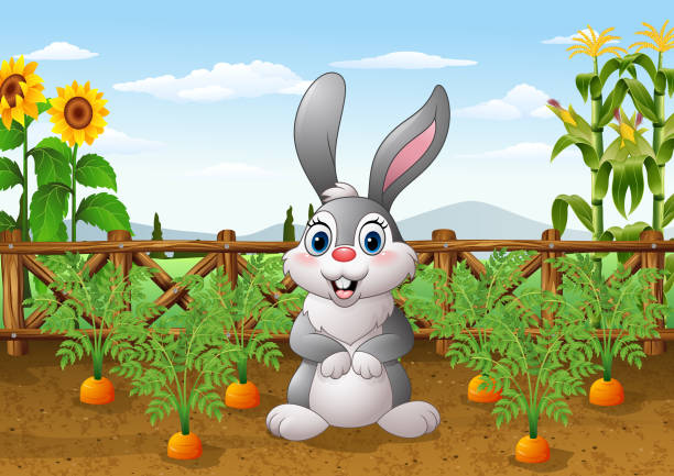 Cartoon Rabbit With Carrot Plant In The Garden Stock Illustration -  Download Image Now - Rabbit - Animal, Carrot, Cartoon - iStock