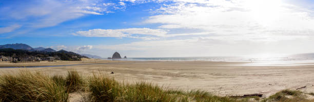 vue panoramique de cannon beach - oregon beach photos et images de collection