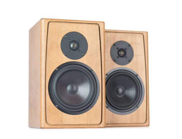 istock Two wooden speakers isolated on white background. 959433390
