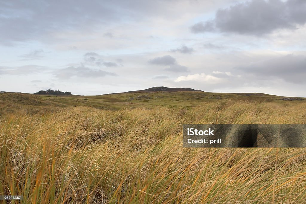 스코틀랜드 넘실대는 언덕으로 이루어진 초원 - 로열티 프리 스코틀랜드 고지 스톡 사진