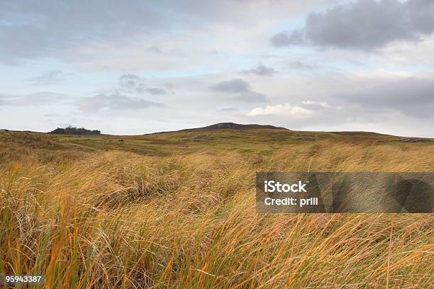 스코틀랜드 넘실대는 언덕으로 이루어진 초원 스코틀랜드 고지에 대한 스톡 사진 및 기타 이미지 - 스코틀랜드 고지, 큰 조아재비, 0명