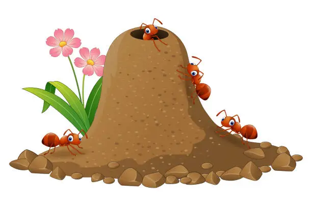 Vector illustration of Cartoon ants colony and ant hill