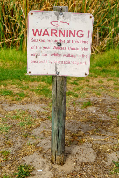 istock Snake warning sign in Australian park 959435324