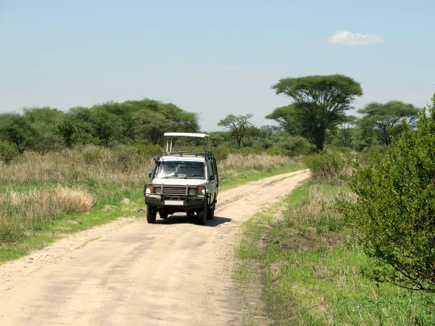 istock safari in the Serengeti 95943843