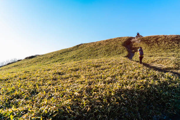 Kamegamori mountain in Ehime prefecture of Japan.Mountains of Kamegamori is 300 famous mountains in Japan.