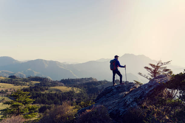 岩から望むハイキング男 - 環境 ストックフォトと画像