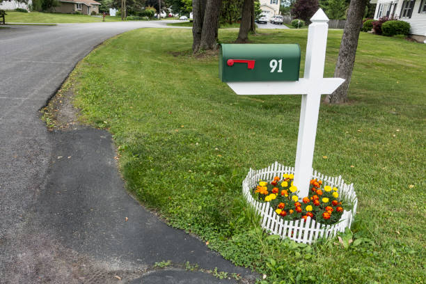 suburban street with mailbox and trees