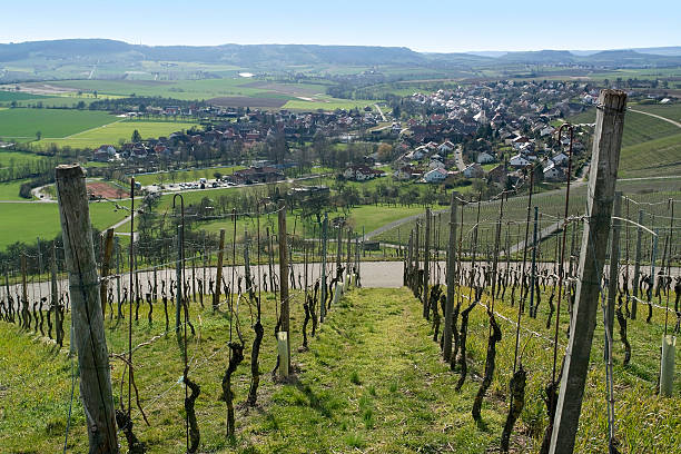 istock viniculture and village 95944195
