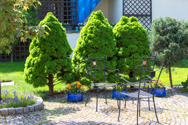 istock Beautiful spring garden, beauty in nature. 959453638