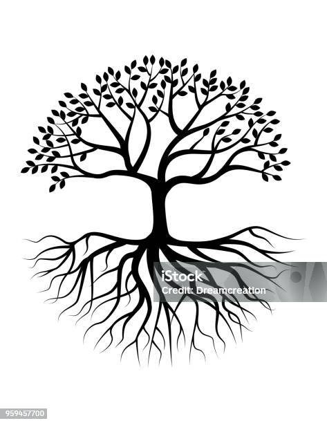 Baumsilhouette Mit Wurzel Stock Vektor Art und mehr Bilder von Baum - Baum, Wurzel, Kontur