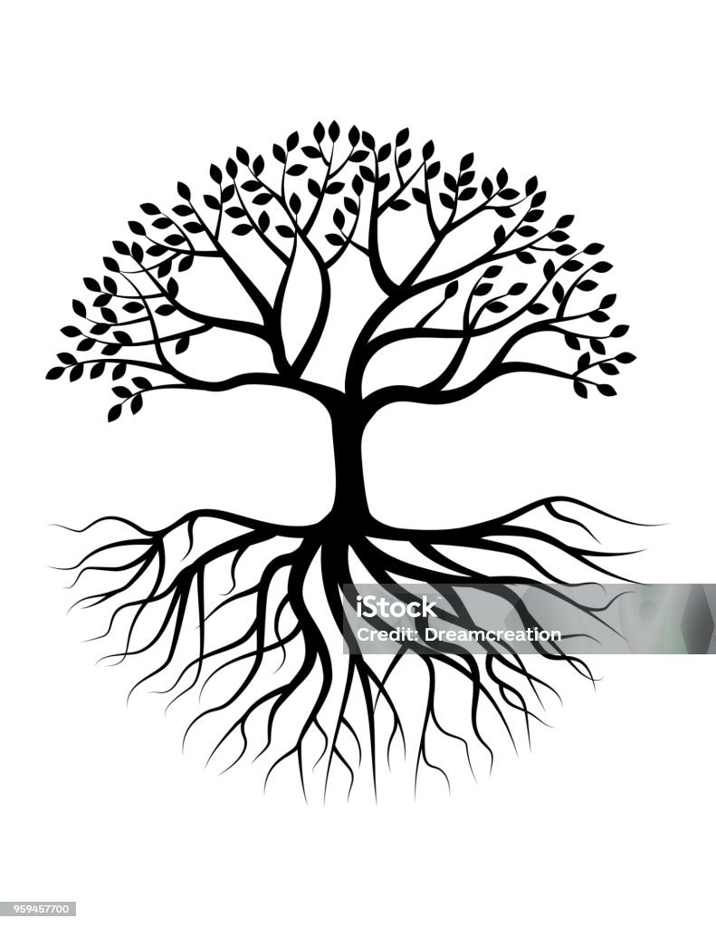 Tree silhouette with root Vector illustration of Tree silhouette with root Tree stock vector