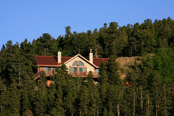 istock Luxury Mountain Home in the Trees 95946078