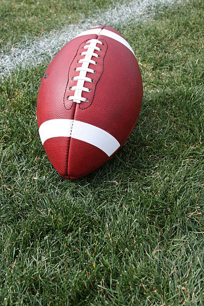 istock Football on the Grass with room for Copy 95946497