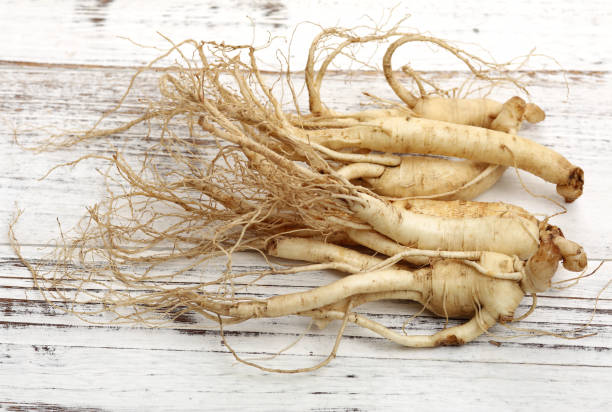 istock Fresh Ginseng  isolated on white wood background 959465038