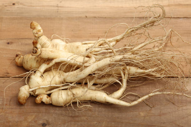 istock Fresh Ginseng  isolated on  wood background 959467284
