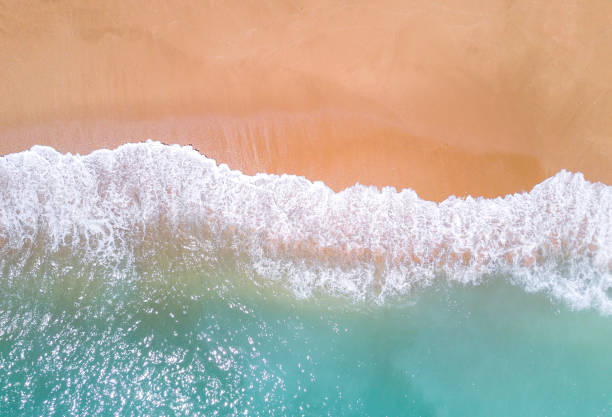Aerial view of tropical sandy beach and ocean. stock photo