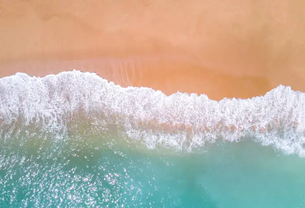 Photo of Aerial view of tropical sandy beach and ocean.