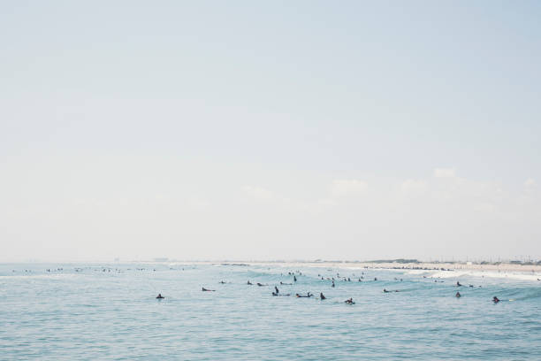 Crowd of surfers enjoy surfing in the sea.