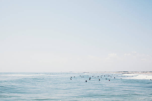 Crowd of surfers enjoy surfing in the sea.