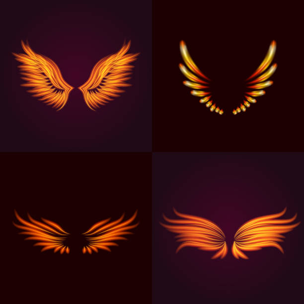 istock Bird fire wings vector fantasy feather burning fly mystic glow fiery burn hot art wings illustration on black 959473610