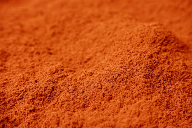 istock cacao powder, cocoa powder 959478066