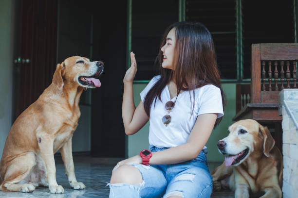 istock Young women playing with a dog ,life style . 959482024