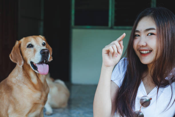 istock Young women playing with a dog ,life style . 959482032