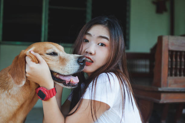 istock Young women playing with a dog ,life style . 959482058