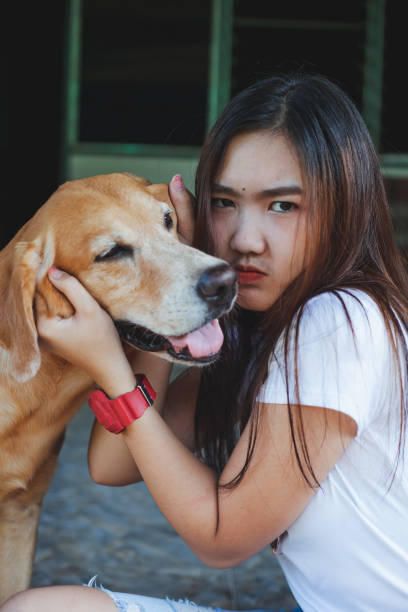 istock Young women playing with a dog ,life style . 959482066