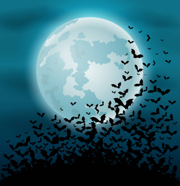 ilustrações de stock, clip art, desenhos animados e ícones de halloween night background with bat and full moon - bat animal flying mammal
