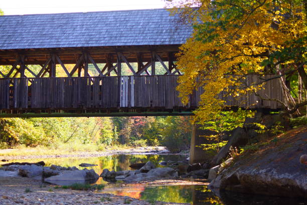 istock Bridge in autumn forest with pond 959482706