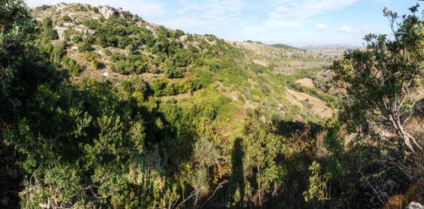 istock Arid terrain of Crete 959483070