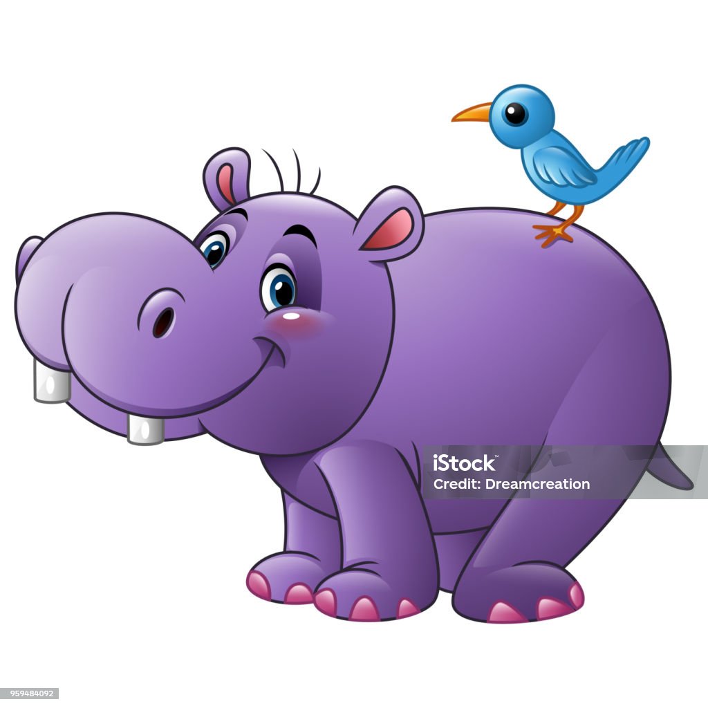 Cartoon Funny Hippo With Bird Stock Illustration - Download Image Now -  Above, Africa, Animal - iStock