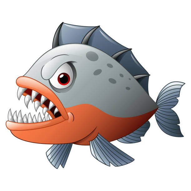 illustrazioni stock, clip art, cartoni animati e icone di tendenza di cartone animato piranha arrabbiato - piranha