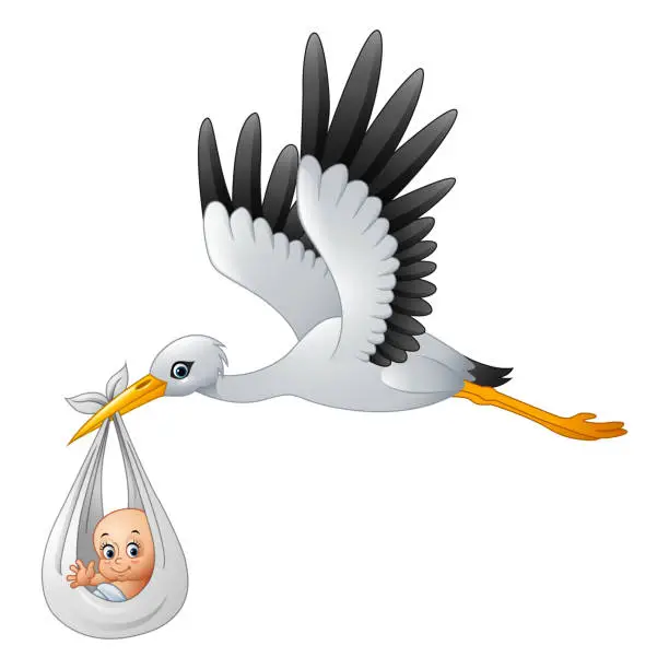 Vector illustration of Cartoon stork carrying baby