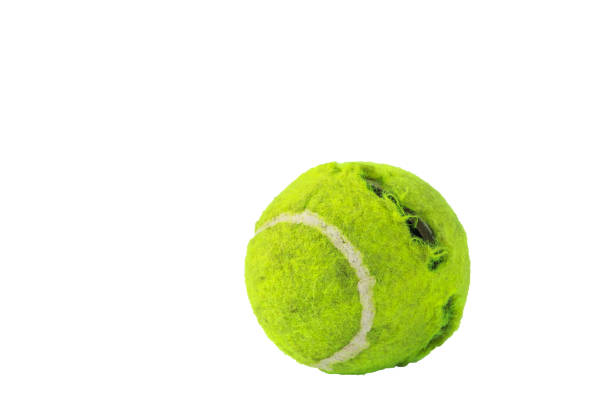 istock Tennis balls by dog bites a white background 959495076