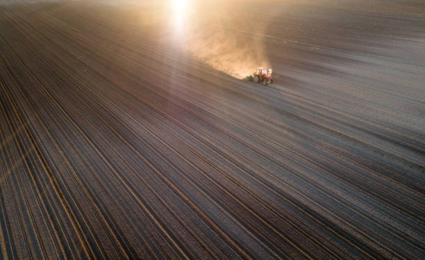 istock Top view of tractor working in field 959497776