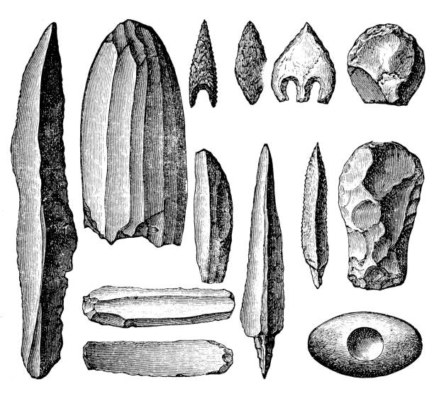 Neolithic tools and weapons Illustration of a Neolithic tools and weapons flint stone stock illustrations