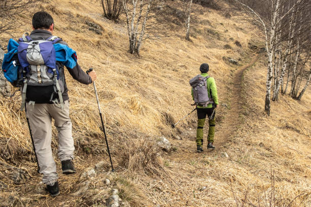 istock Men hiking in the forest 959504414