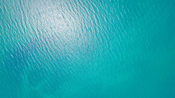 푸른 바다빛 배경 - 바다 뉴스 사진 이미지