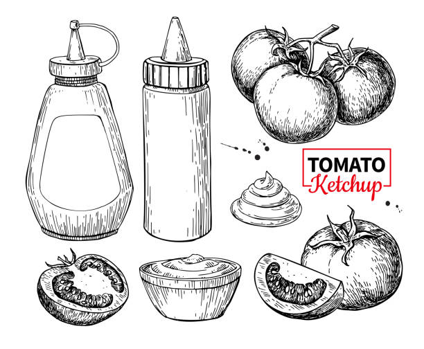 illustrations, cliparts, dessins animés et icônes de bouteille de sauce ketchup aux tomates. dessin vectoriel. saveur de l’aliment - mustard bottle sauces condiment