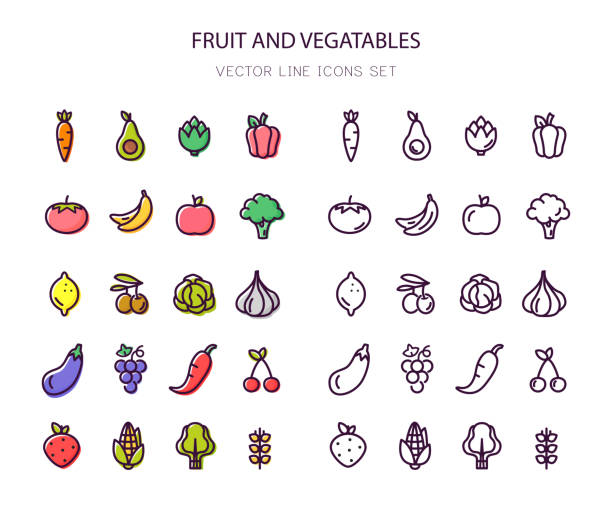 Fruit and vegetables. Organic food. Line icons. Outline stroke. Fruit and vegetables. Organic food. Set of line and colorful icons. Vector. Line icon Outline stroke fruit icons stock illustrations
