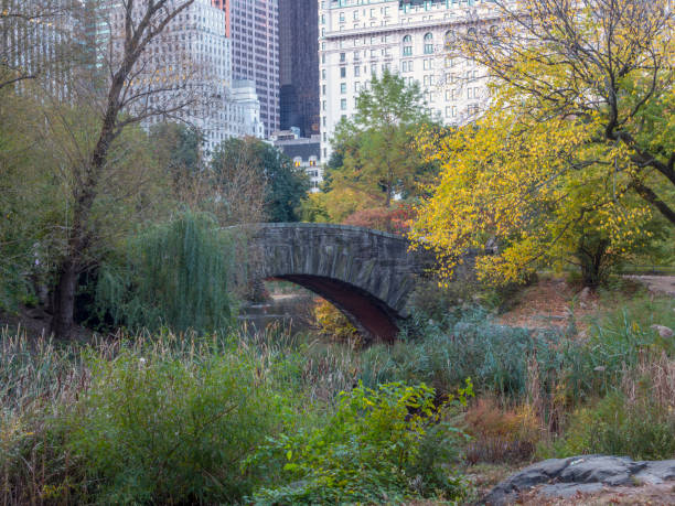 istock Gapstow bridge Central Park, New York City 959522322