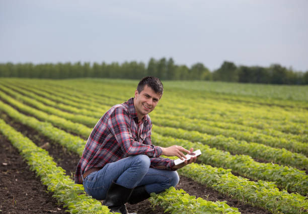 istock Farmer with tablet in soybean field 959523280