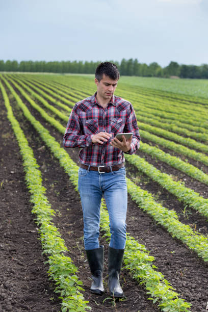 istock Farmer with tablet in soybean field 959523368