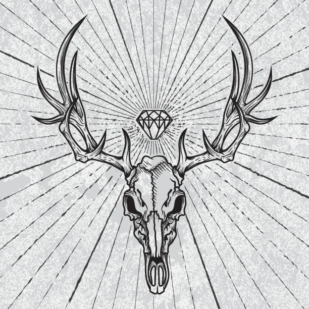 Deer Skull Tattoo Illustrations, Royalty-Free Vector Graphics & Clip Art -  iStock