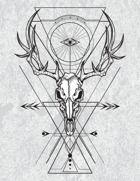 illustrations, cliparts, dessins animés et icônes de crâne de cerf à la gravure technique graphique. - deer skull