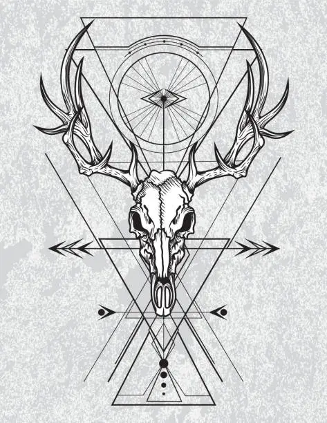 Vector illustration of Skull of the deer in engraving graphic technique.