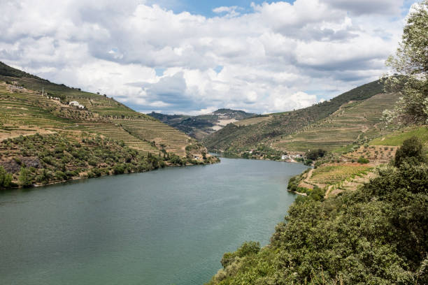 istock Douro Valley in Portugal 959527338